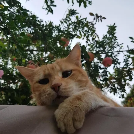 Nocleg ze śniadaniem Casa San Jacopo Al Giardino 3*