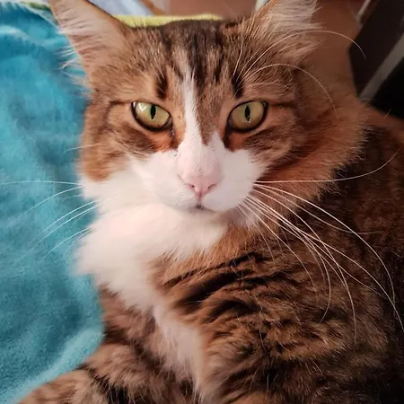 Casa San Jacopo Al Giardino