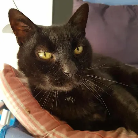 Casa San Jacopo Al Giardino Nocleg ze śniadaniem